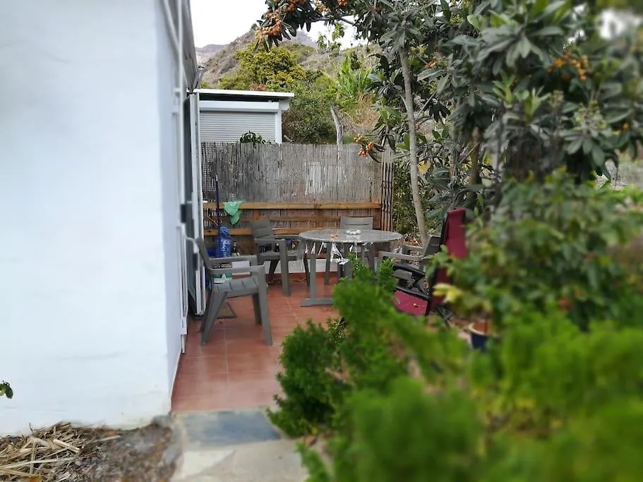 Apartment Auf Oeko-Finca Mogan Spain