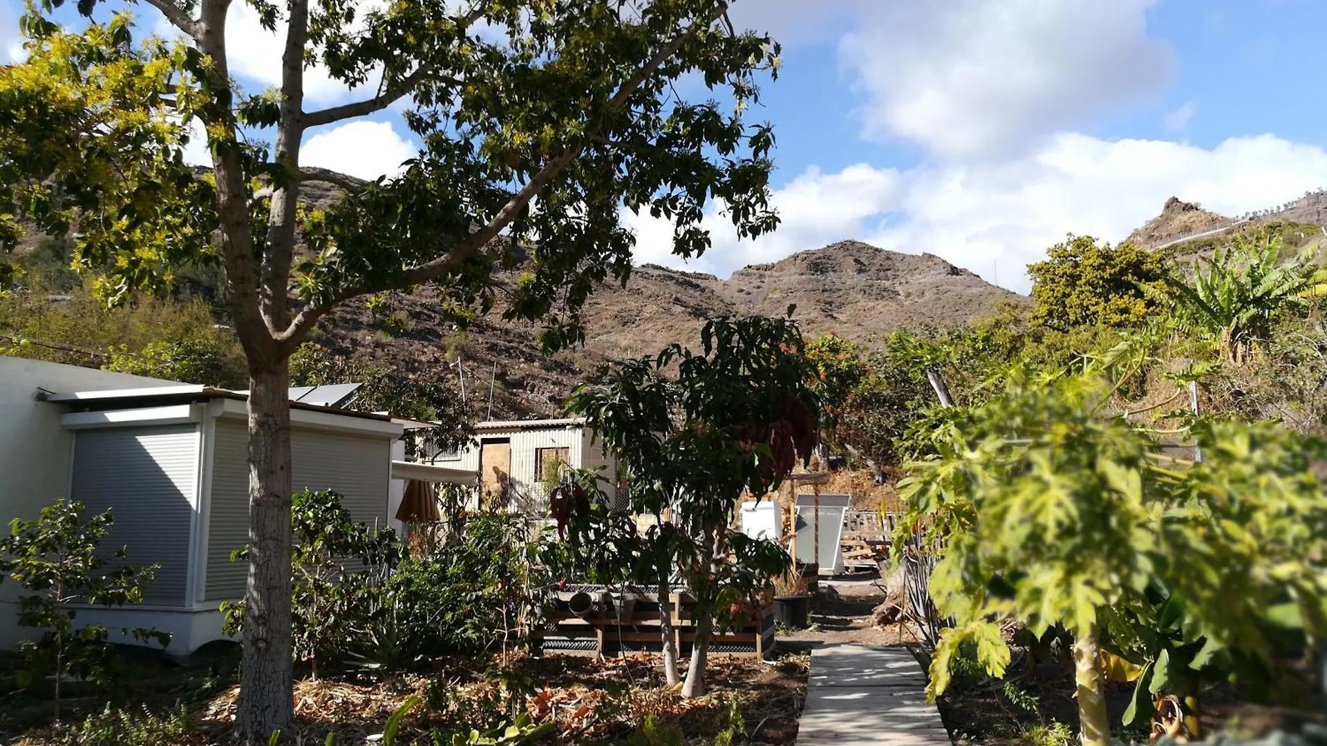Apartment Auf Oeko-Finca Mogan